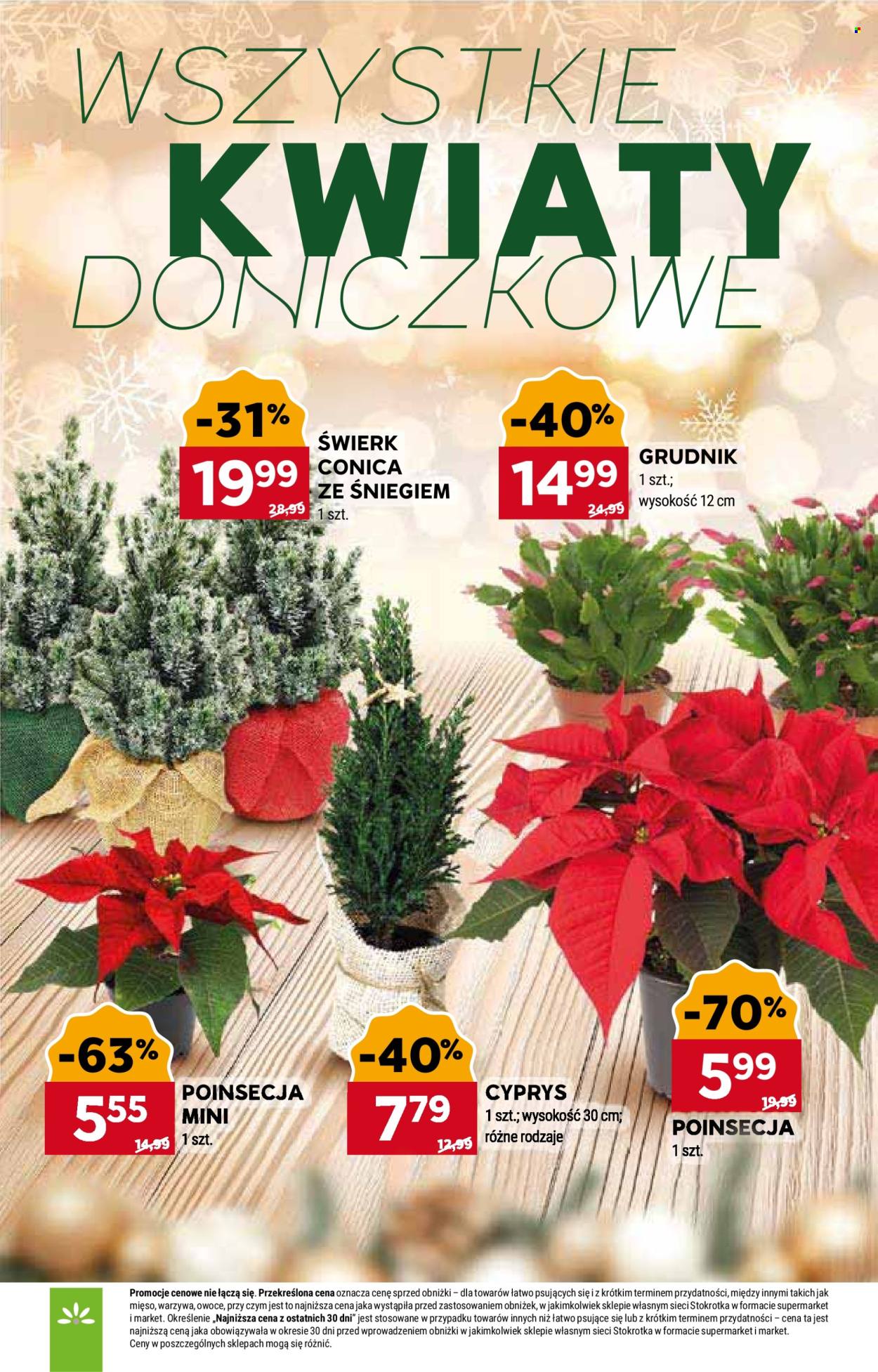 Gazetka Stokrotka Market - 22.12.2025 - 28.12.2025. Strona 12