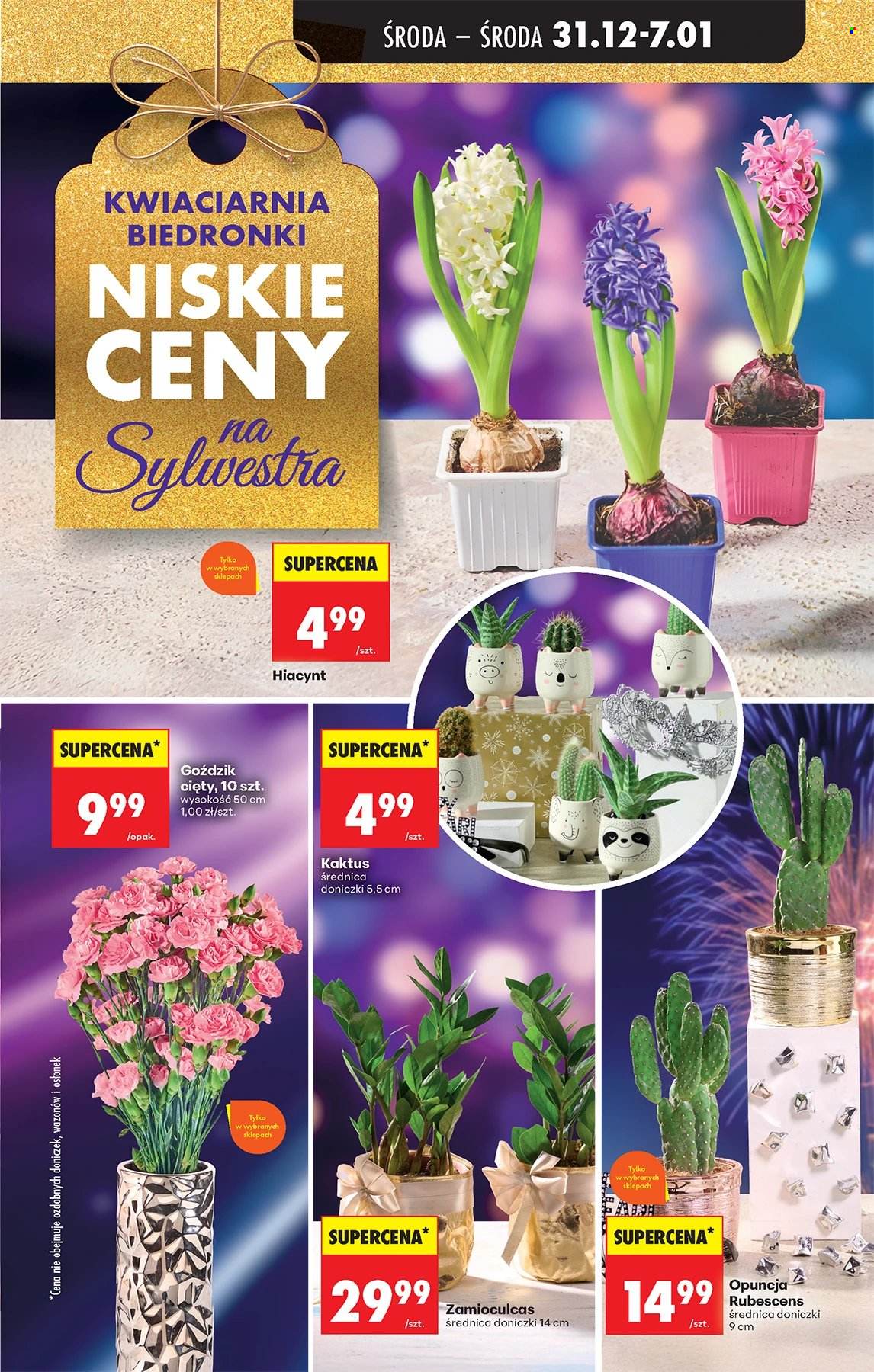 Gazetka Biedronka - 31.12.2025 - 6.01.2026. Strona 63