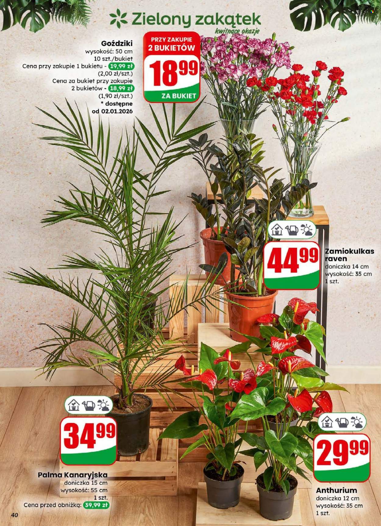 Gazetka Dino - 31.12.2025 - 5.01.2026. Strona 40