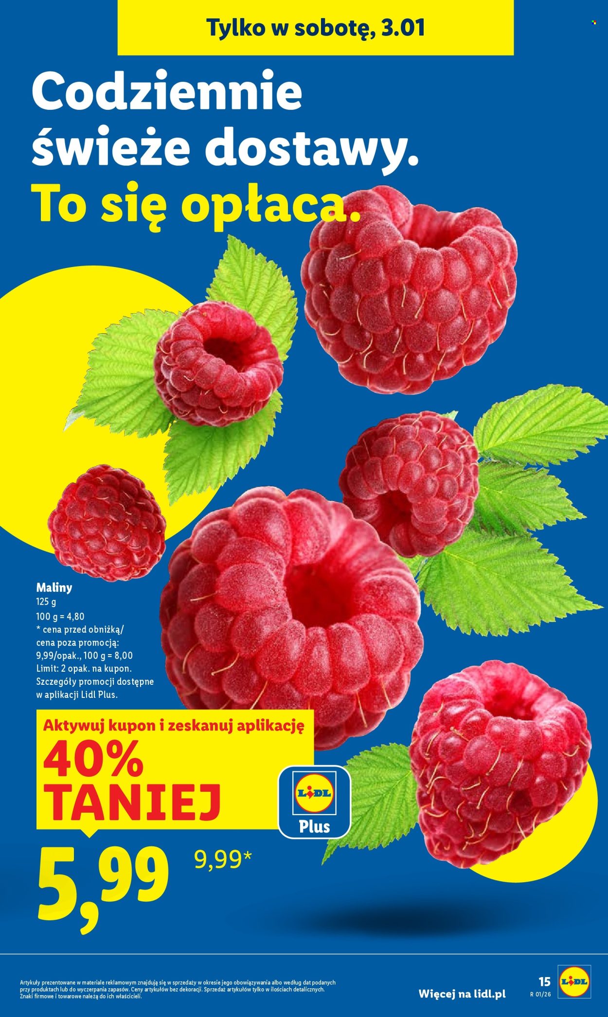 Gazetka Lidl - 2.01.2026 - 3.01.2026. Strona 17