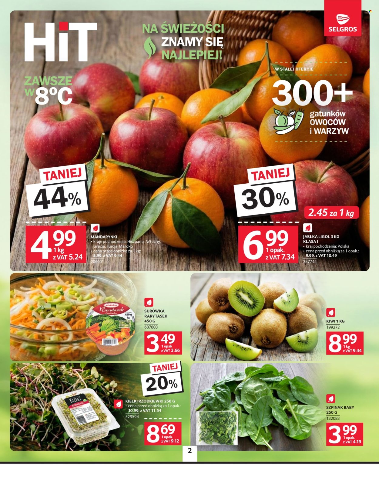 Gazetka Selgros - 8.01.2026 - 21.01.2026. Strona 2
