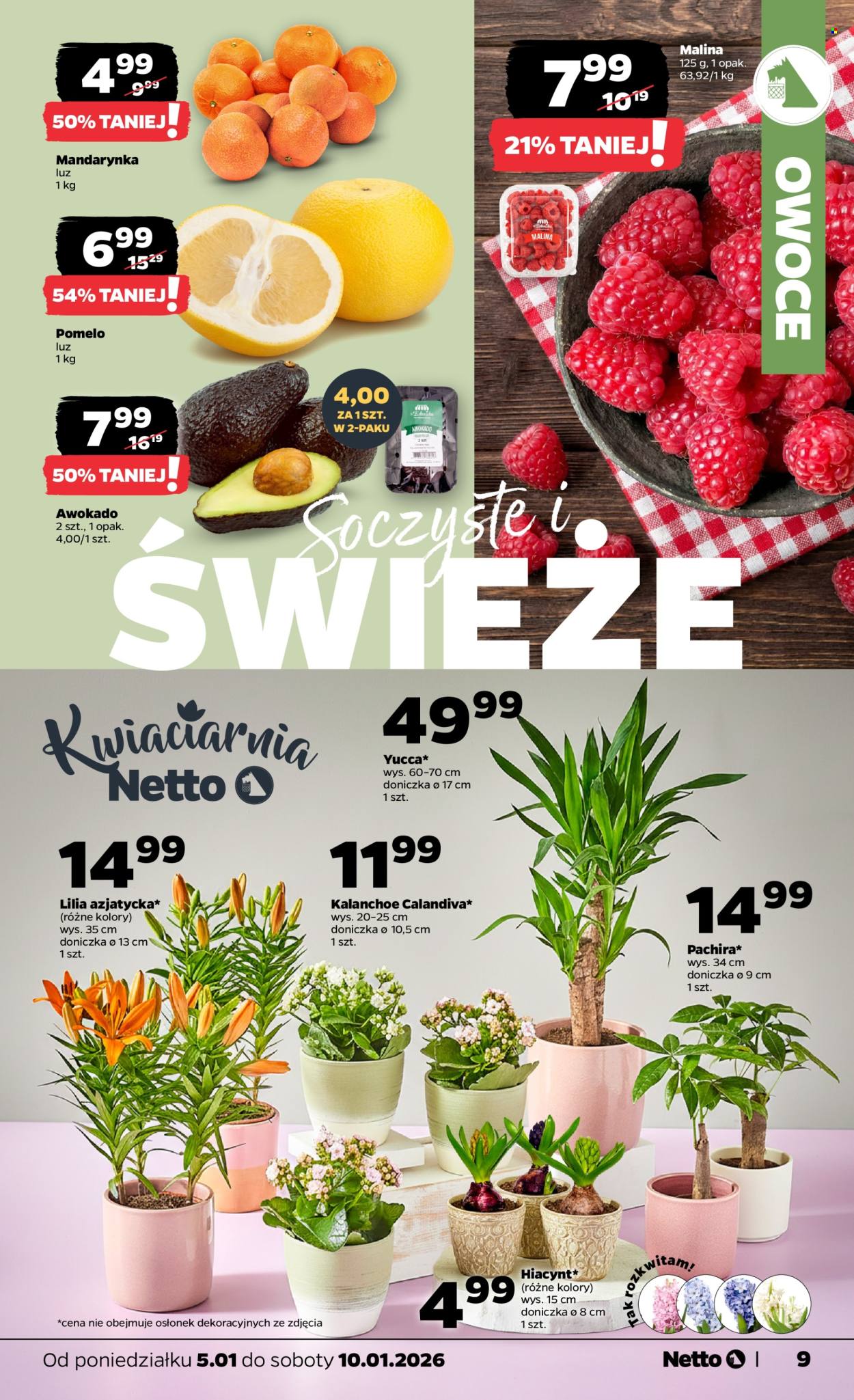 Gazetka Netto - 5.01.2026 - 10.01.2026. Strona 9