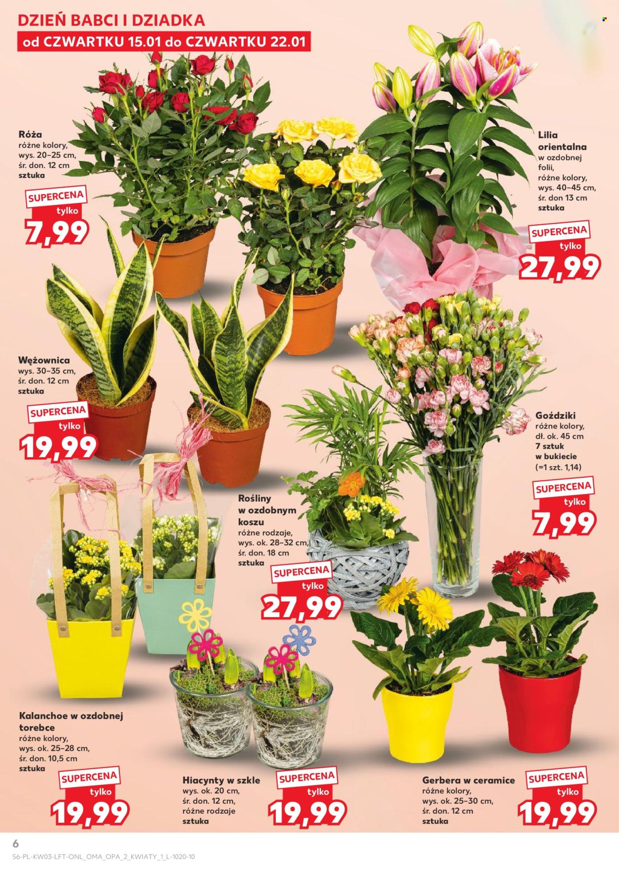 Gazetka Kaufland - 15.01.2026 - 21.01.2026. Strona 6