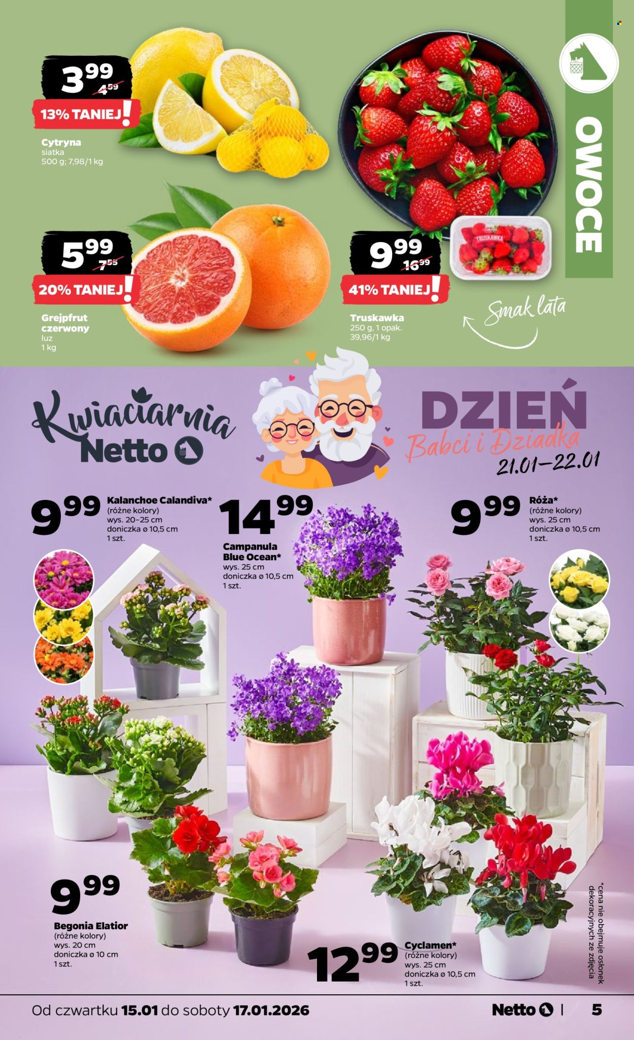 Gazetka Netto - 15.01.2026 - 17.01.2026. Strona 5