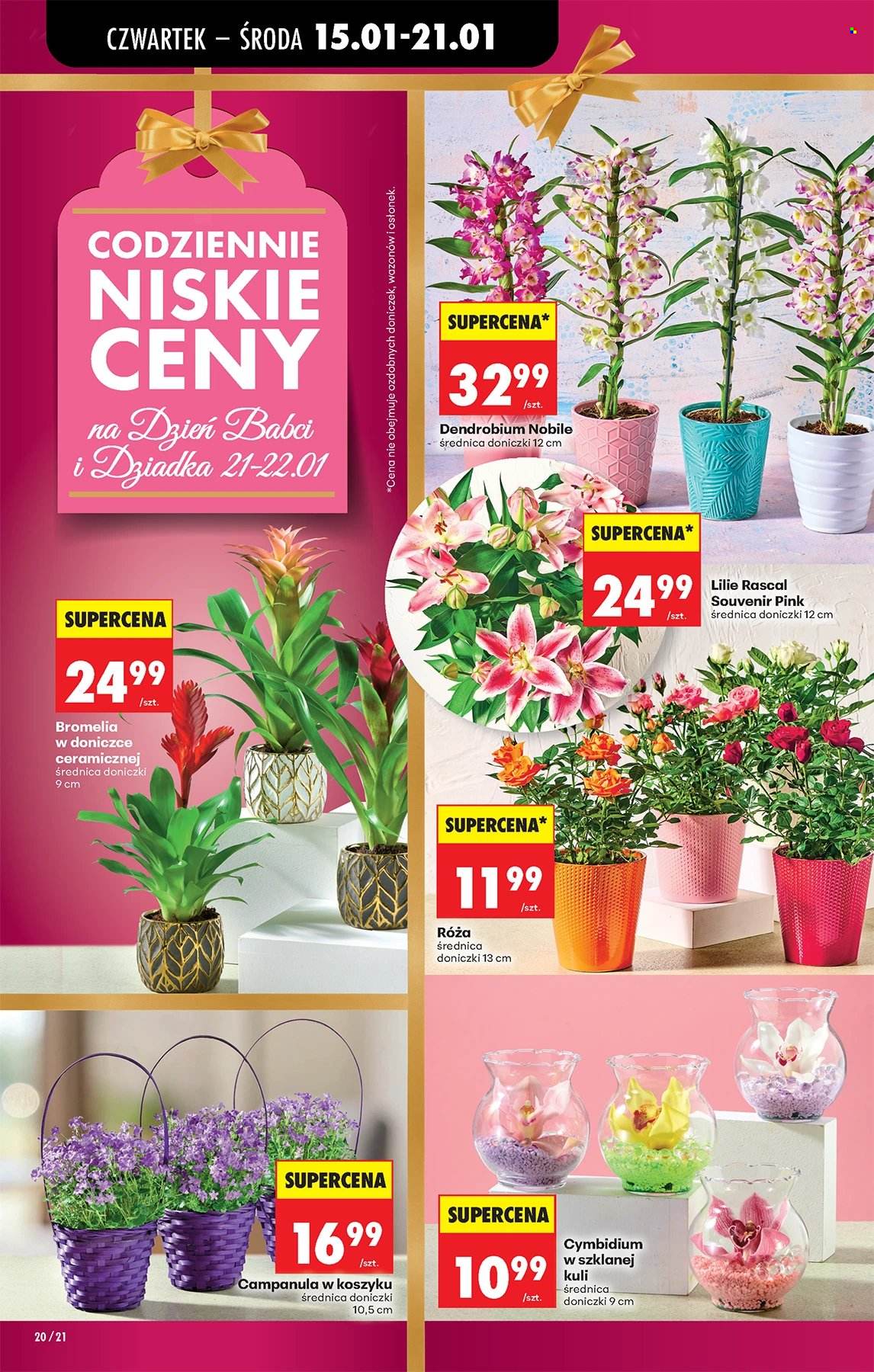 Gazetka Biedronka - 15.01.2026 - 21.01.2026. Strona 20