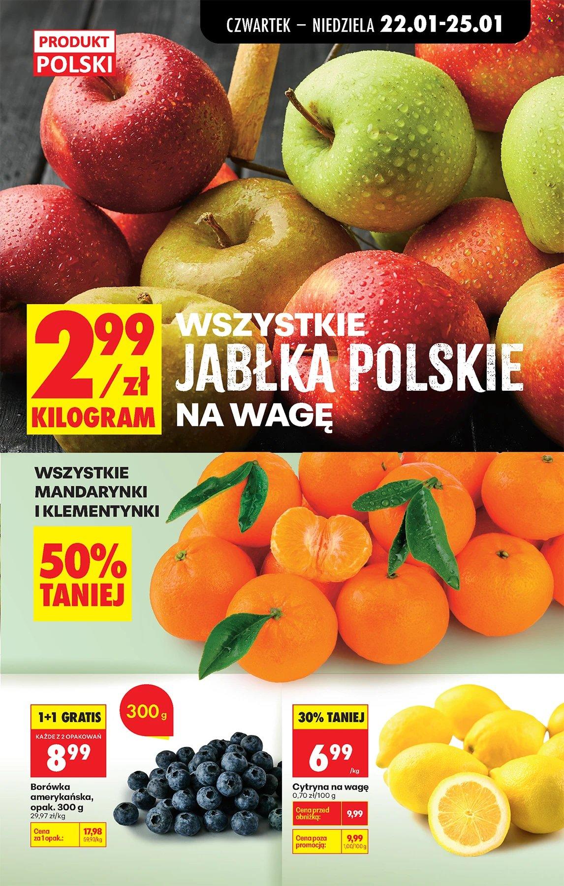 Gazetka Biedronka - 22.01.2026 - 28.01.2026. Strona 23