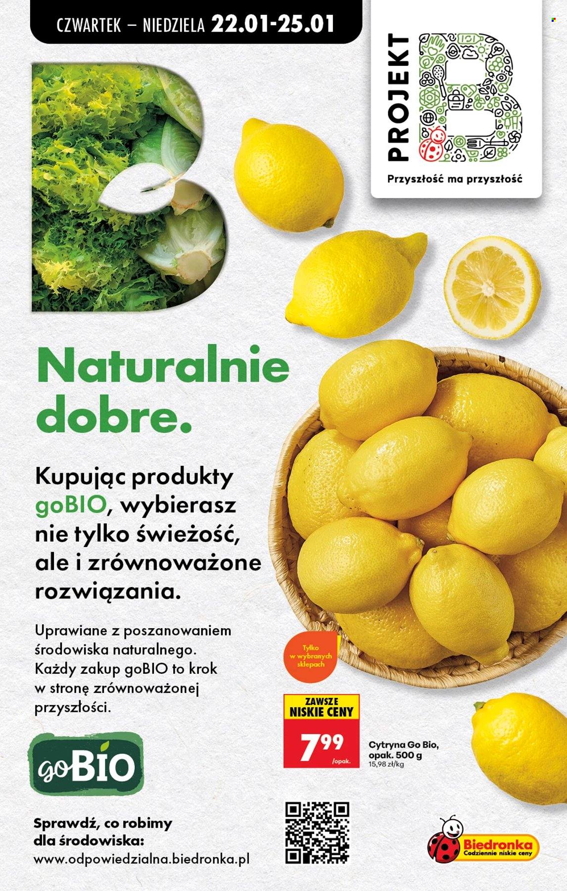 Gazetka Biedronka - 22.01.2026 - 28.01.2026. Strona 66