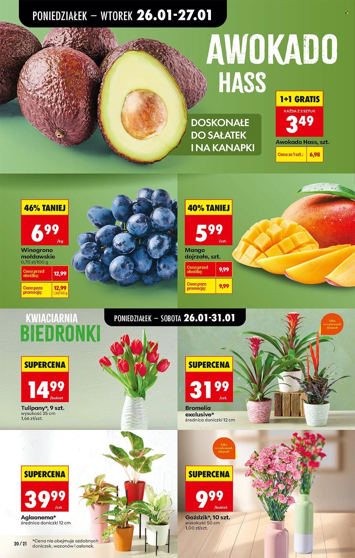 Gazetka Biedronka - 26.01.2026 - 31.01.2026. Strona 20