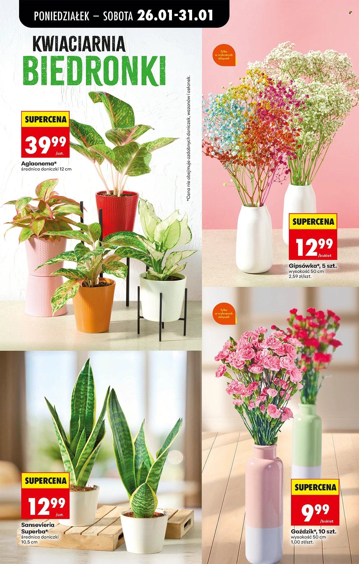 Gazetka Biedronka - 26.01.2026 - 31.01.2026. Strona 62