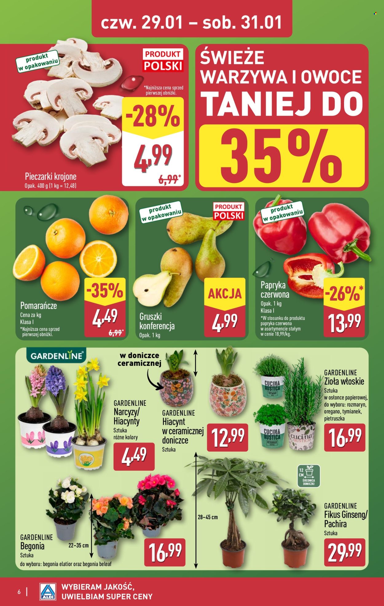 Gazetka ALDI - 29.01.2026 - 31.01.2026. Strona 6