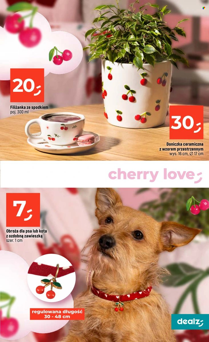 Gazetka Dealz - 29.01.2026 - 4.02.2026. Strona 21