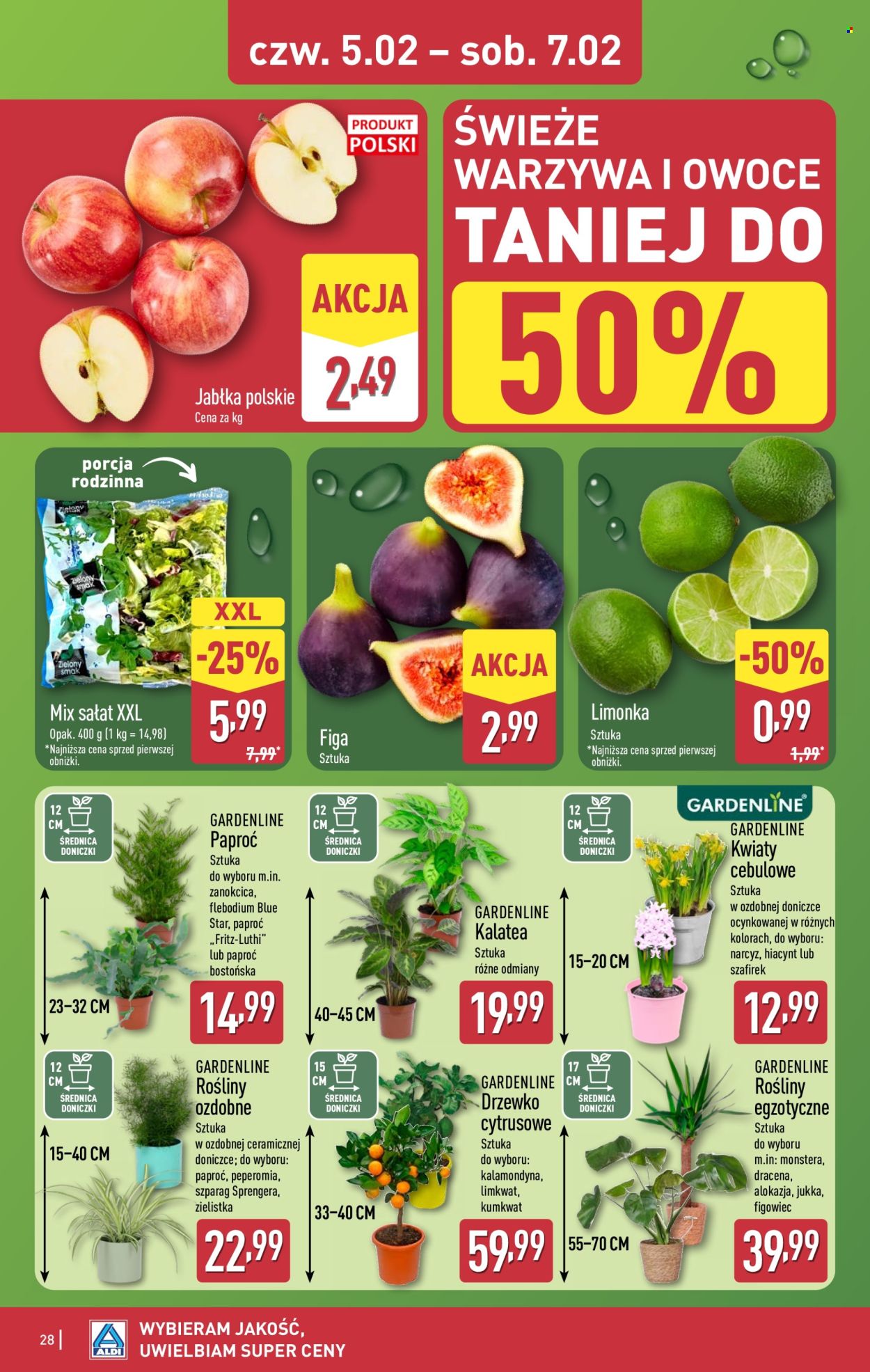 Gazetka ALDI - 2.02.2026 - 7.02.2026. Strona 28