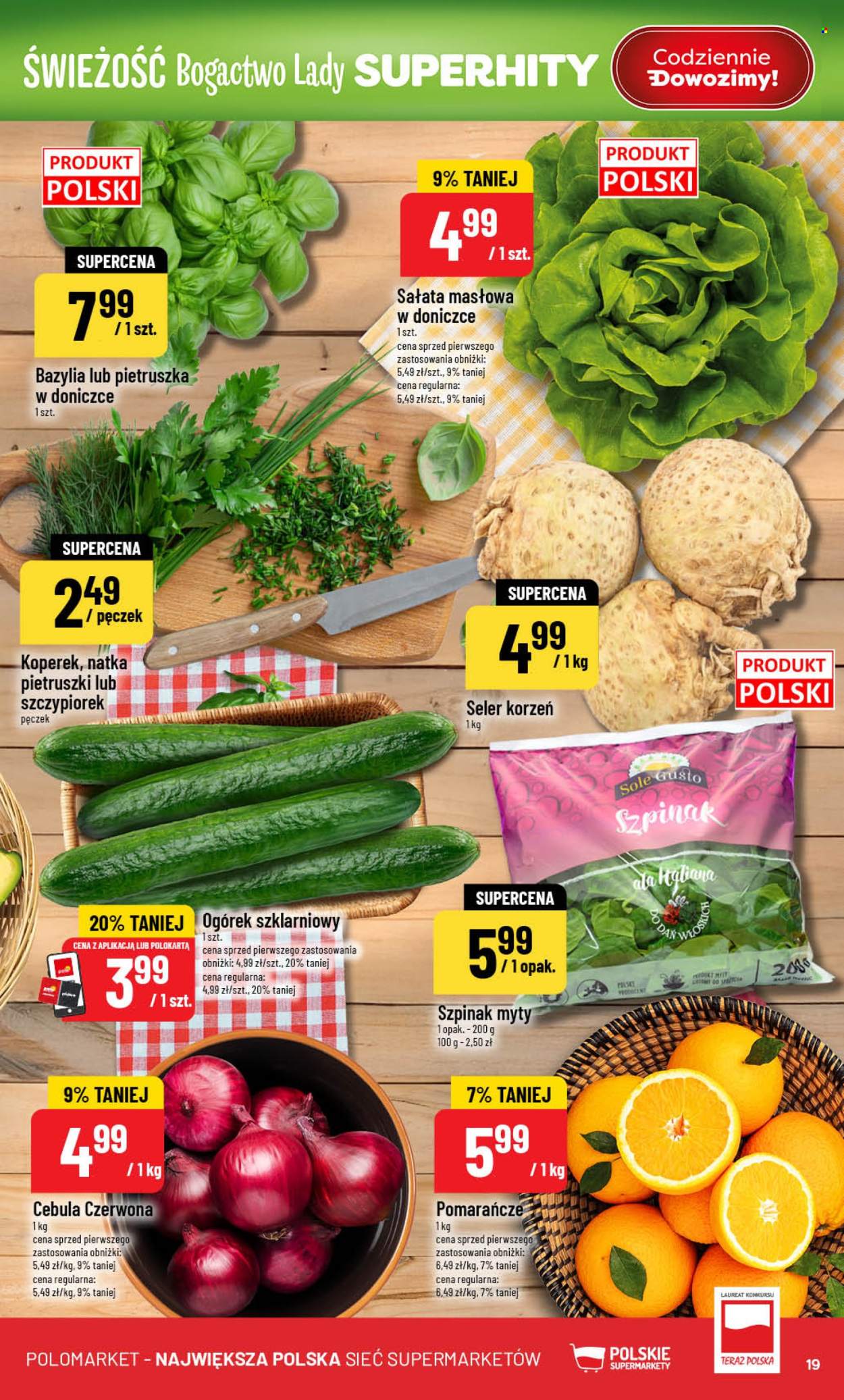 Gazetka Polomarket - 4.02.2026 - 10.02.2026. Strona 19