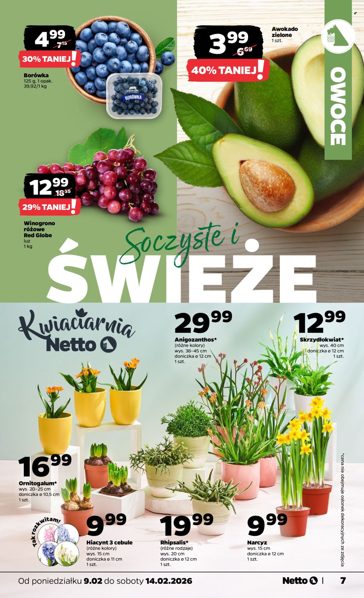 Gazetka Netto - 9.02.2026 - 14.02.2026. Strona 7