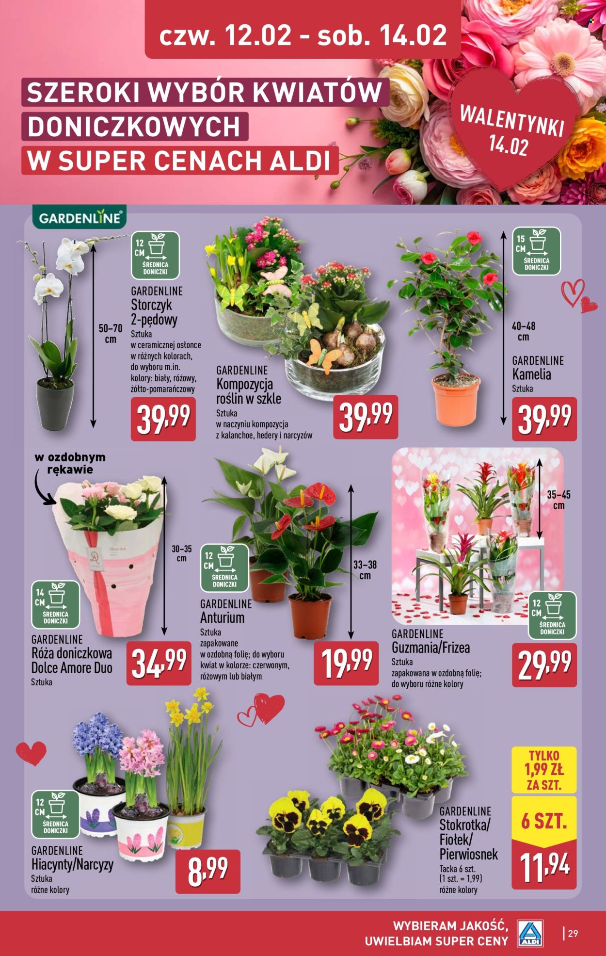 Gazetka ALDI - 9.02.2026 - 14.02.2026. Strona 29