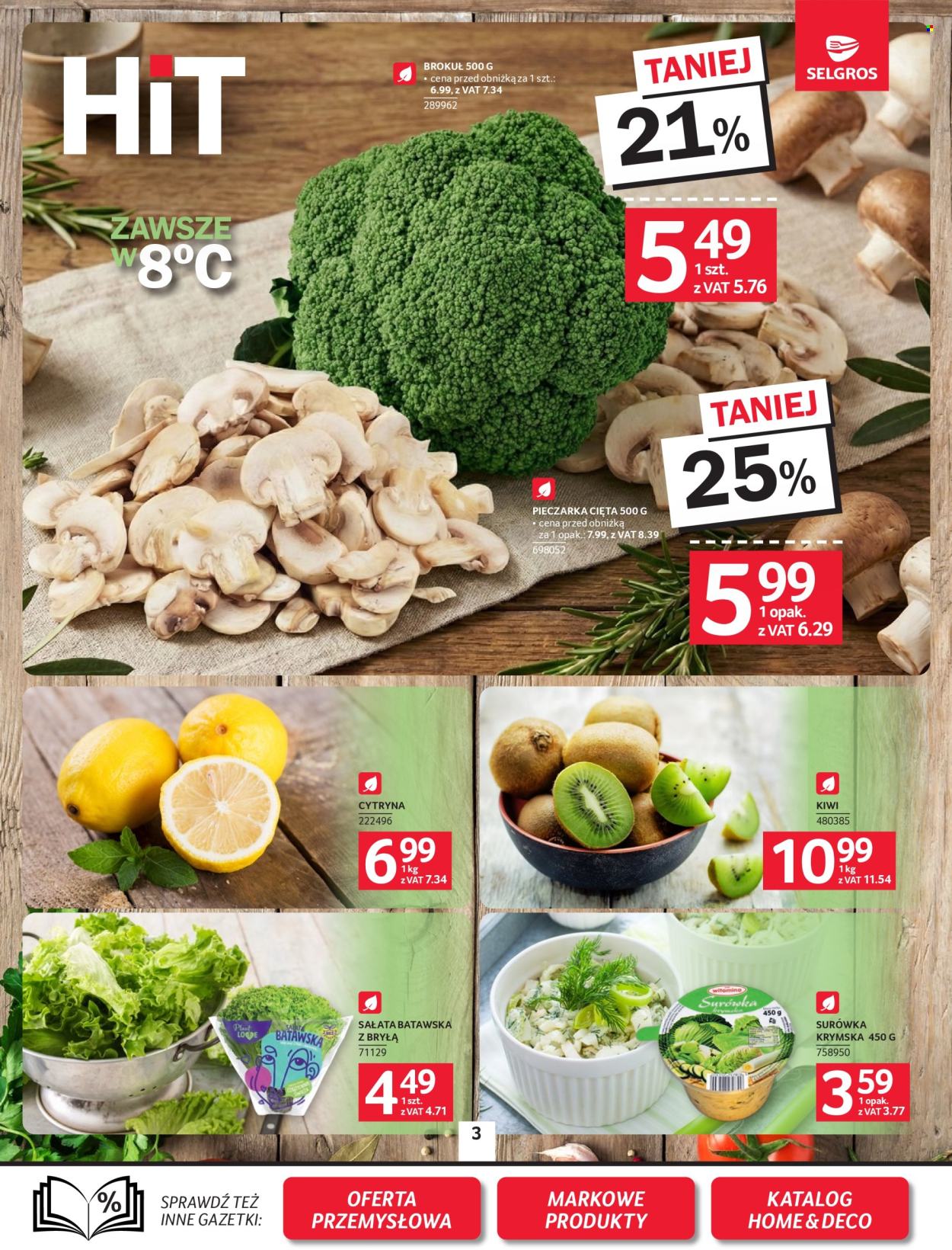 Gazetka Selgros - 19.02.2026 - 4.03.2026. Strona 3
