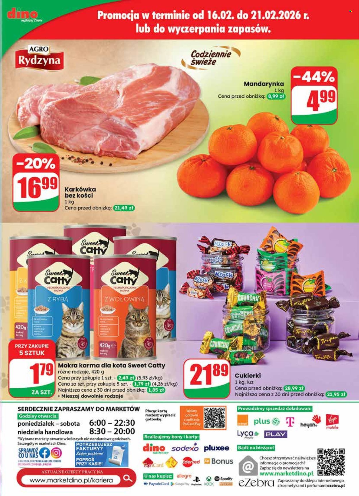 Gazetka Dino - 18.02.2026 - 24.02.2026. Strona 63