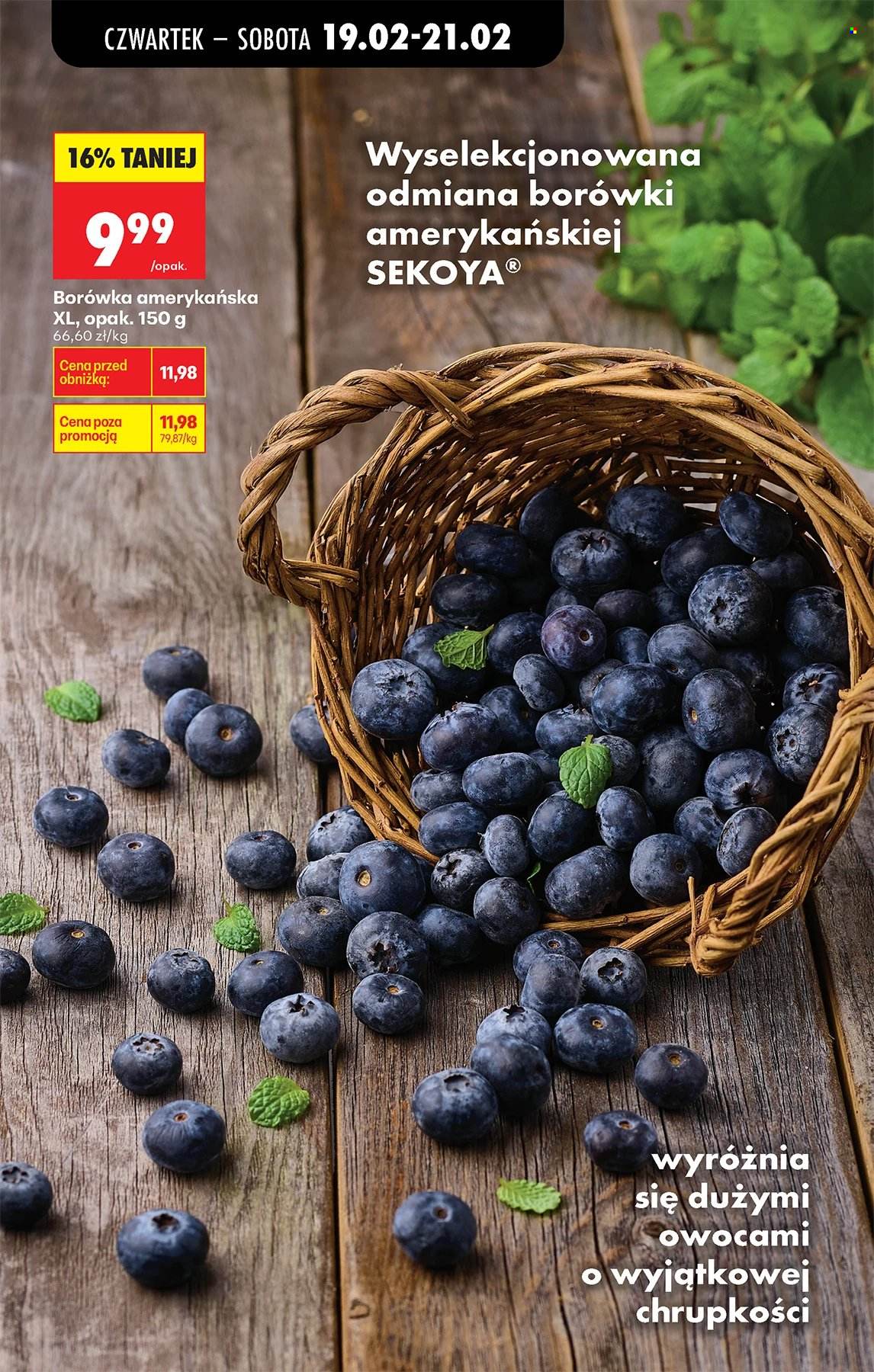 Gazetka Biedronka - 19.02.2026 - 25.02.2026. Strona 67