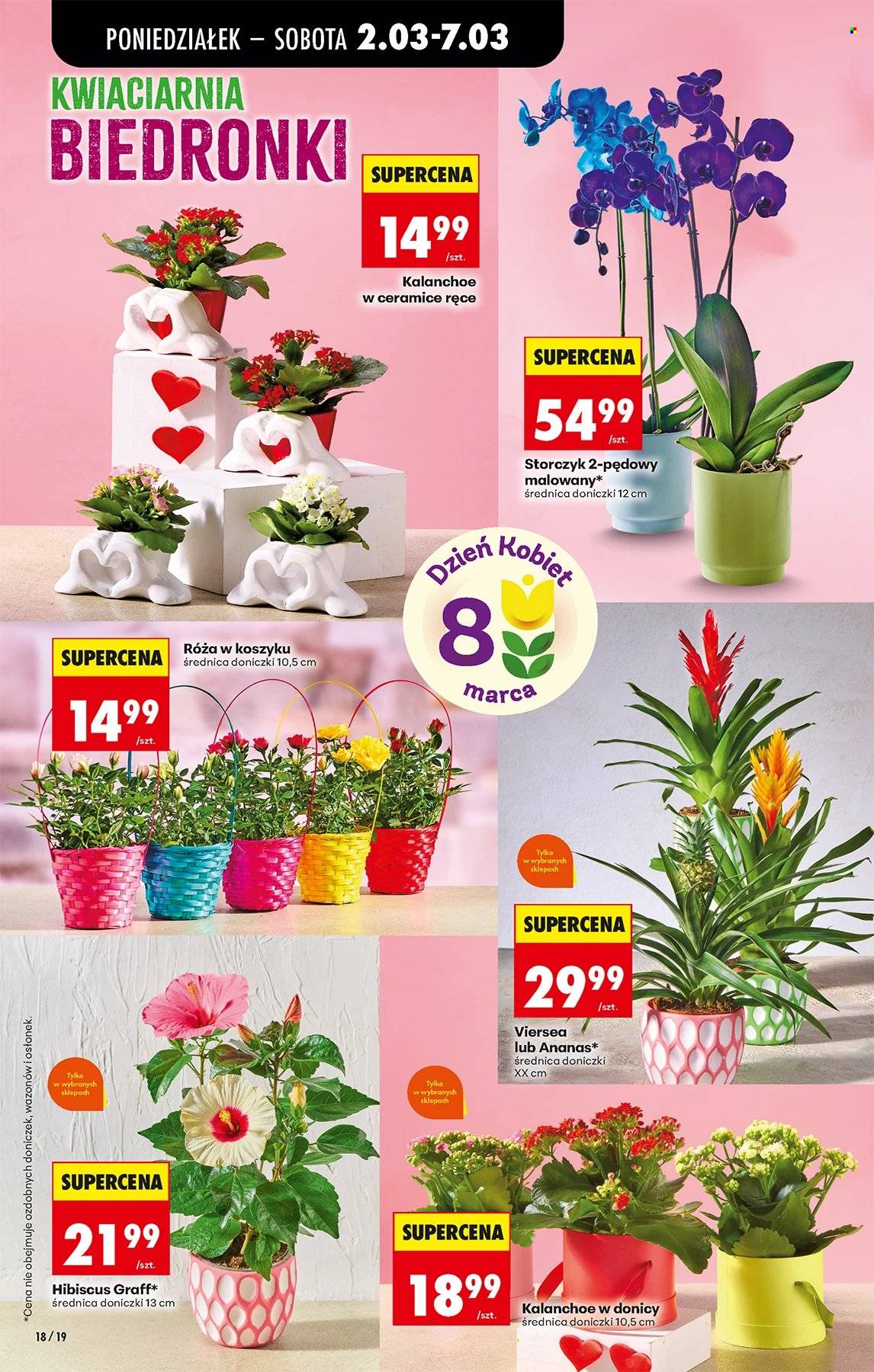 Gazetka Biedronka - 2.03.2026 - 7.03.2026. Strona 18