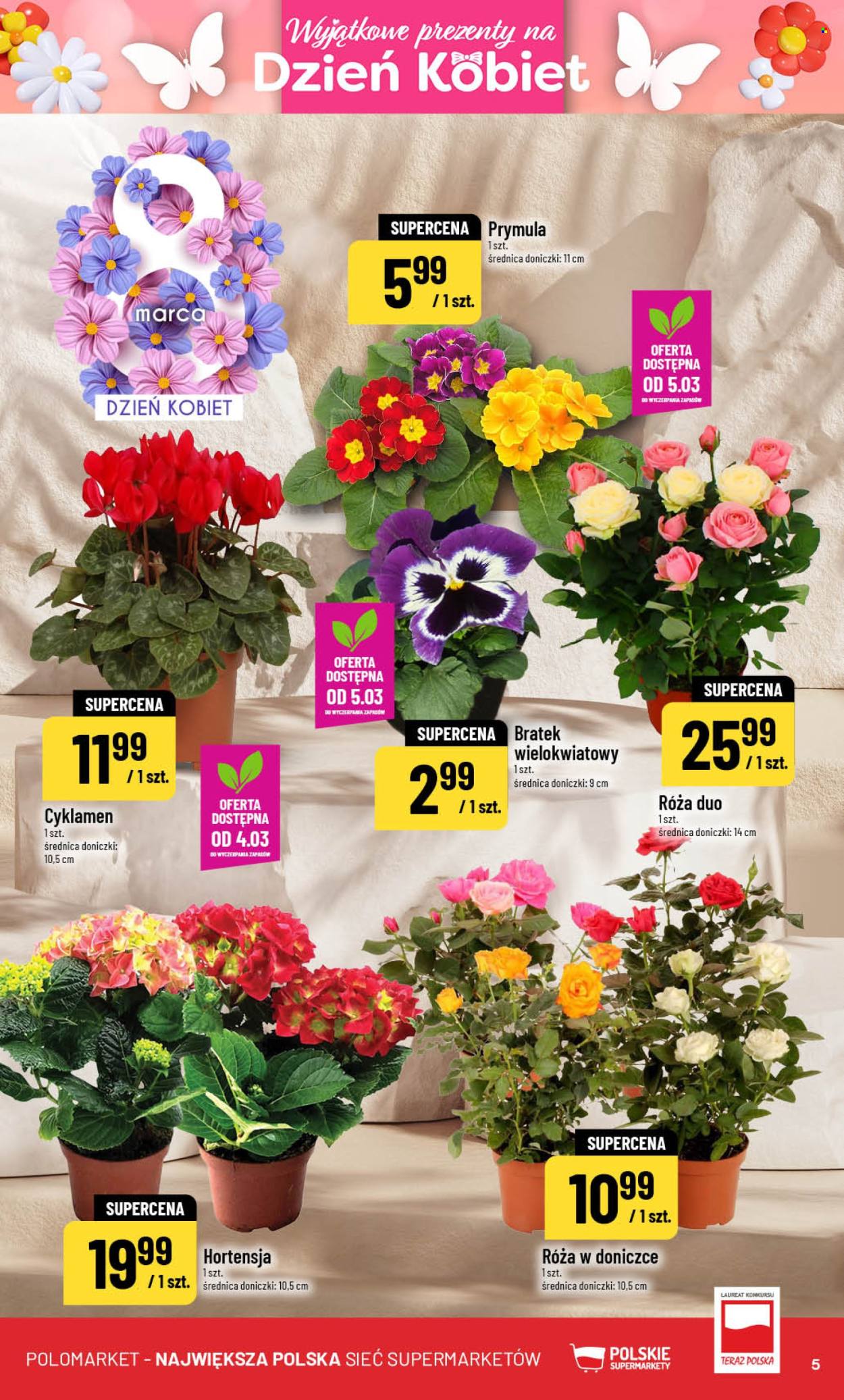 Gazetka Polomarket - 4.03.2026 - 10.03.2026. Strona 5