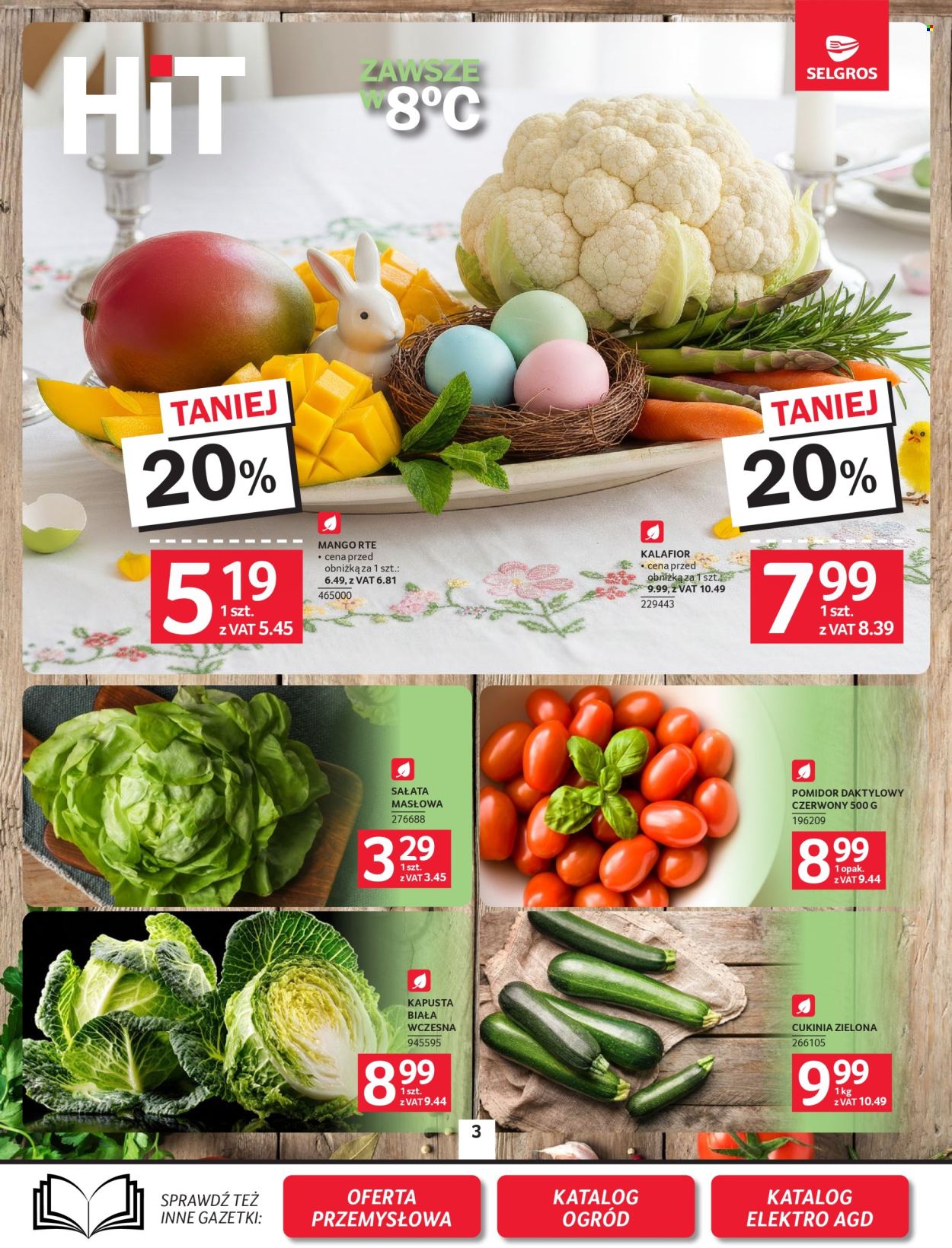 Gazetka Selgros - 5.03.2026 - 18.03.2026. Strona 3