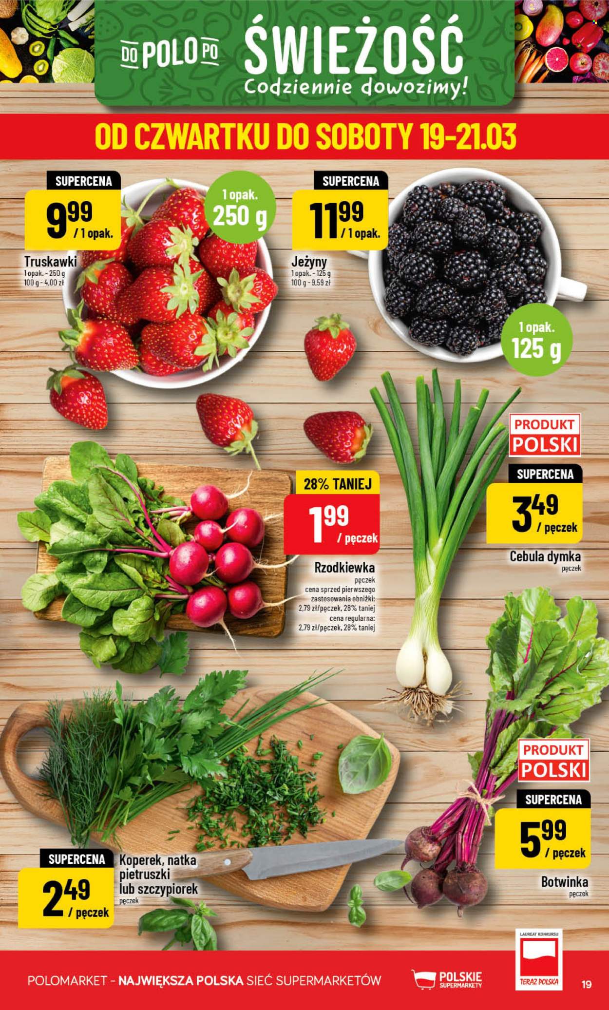 Gazetka Polomarket - 18.03.2026 - 24.03.2026. Strona 19