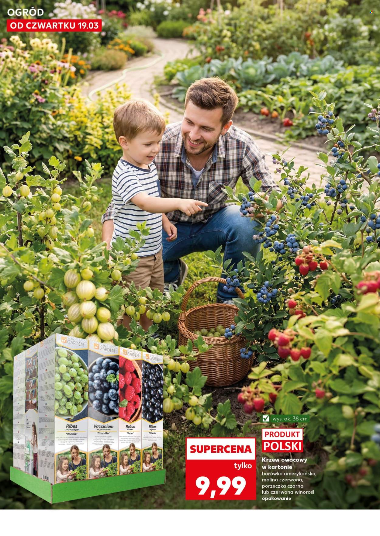Gazetka Kaufland - 19.03.2026 - 25.03.2026. Strona 10