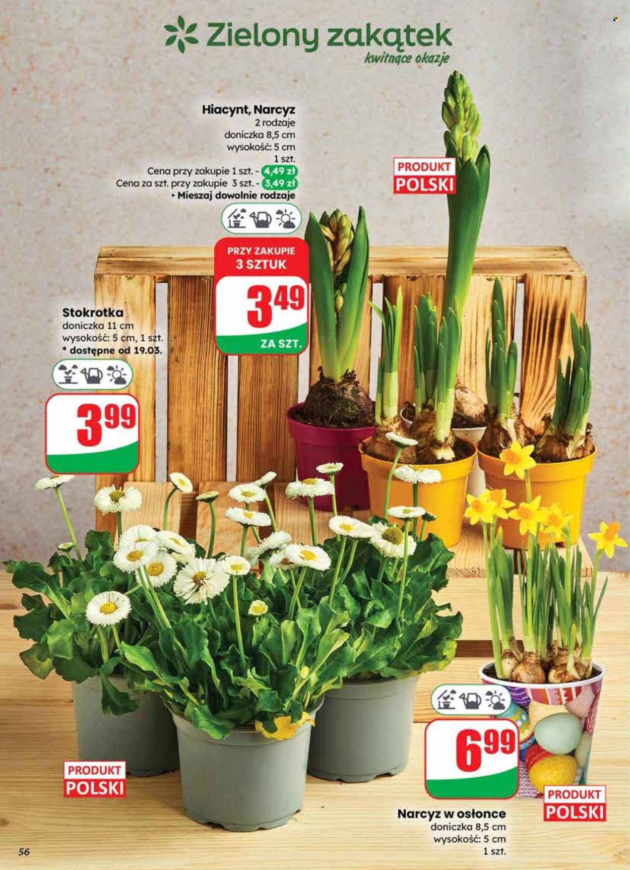 Gazetka Dino - 18.03.2026 - 24.03.2026. Strona 56