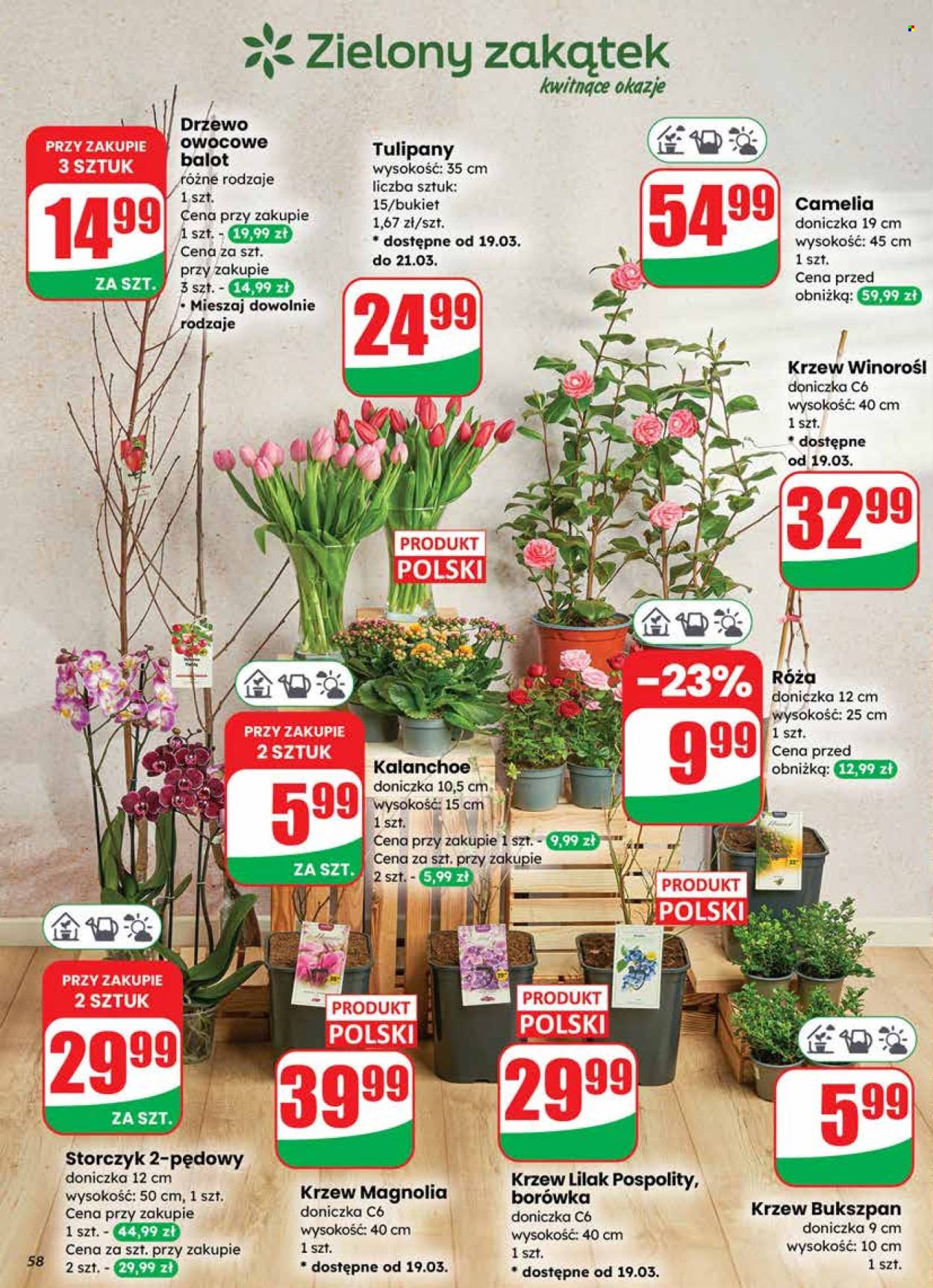 Gazetka Dino - 18.03.2026 - 24.03.2026. Strona 58