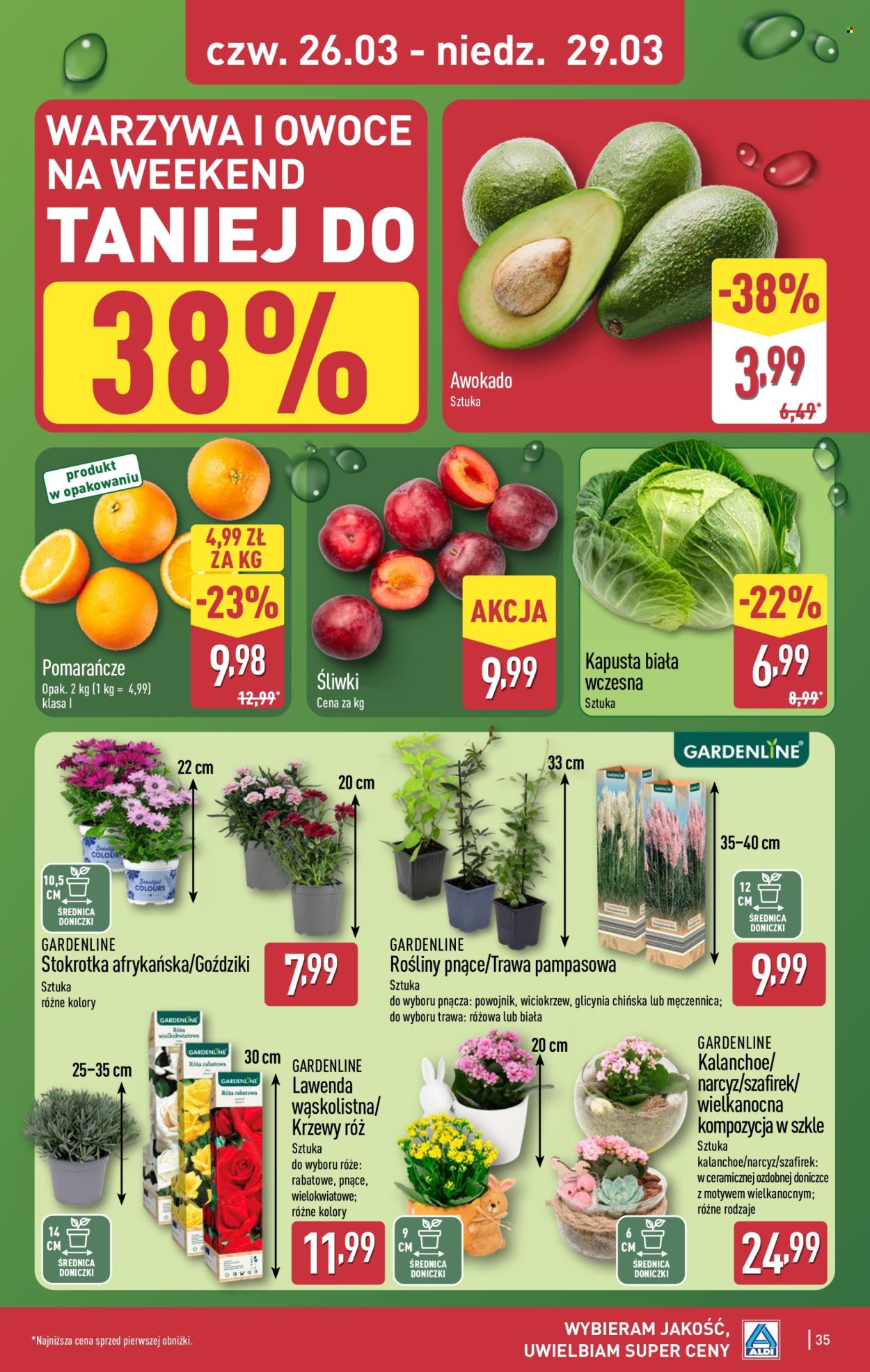 Gazetka ALDI - 23.03.2026 - 29.03.2026. Strona 35