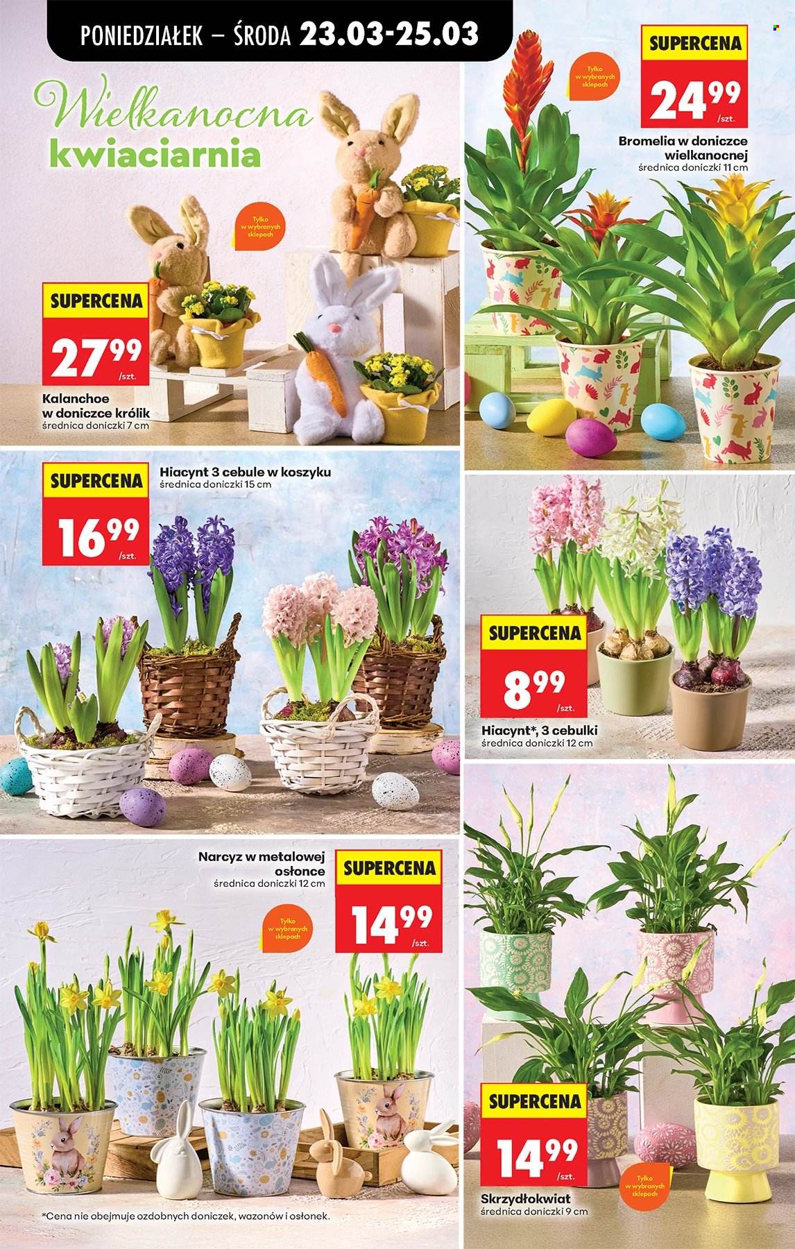 Gazetka Biedronka - 23.03.2026 - 29.03.2026. Strona 11