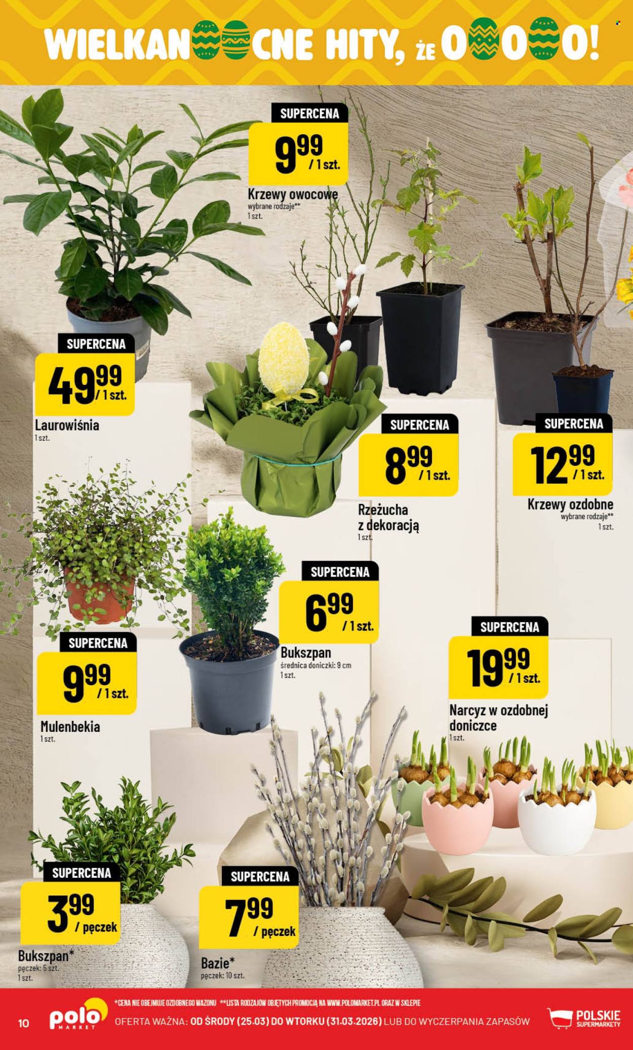 Gazetka Polomarket - 25.03.2026 - 31.03.2026. Strona 10