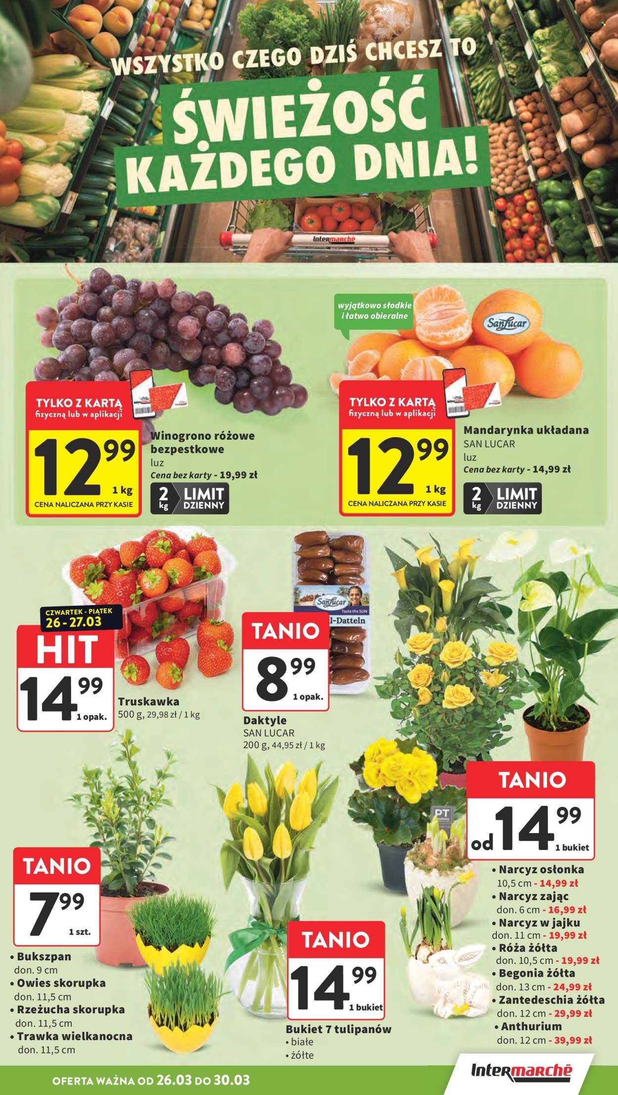 Gazetka Intermarché - 26.03.2026 - 30.03.2026. Strona 15