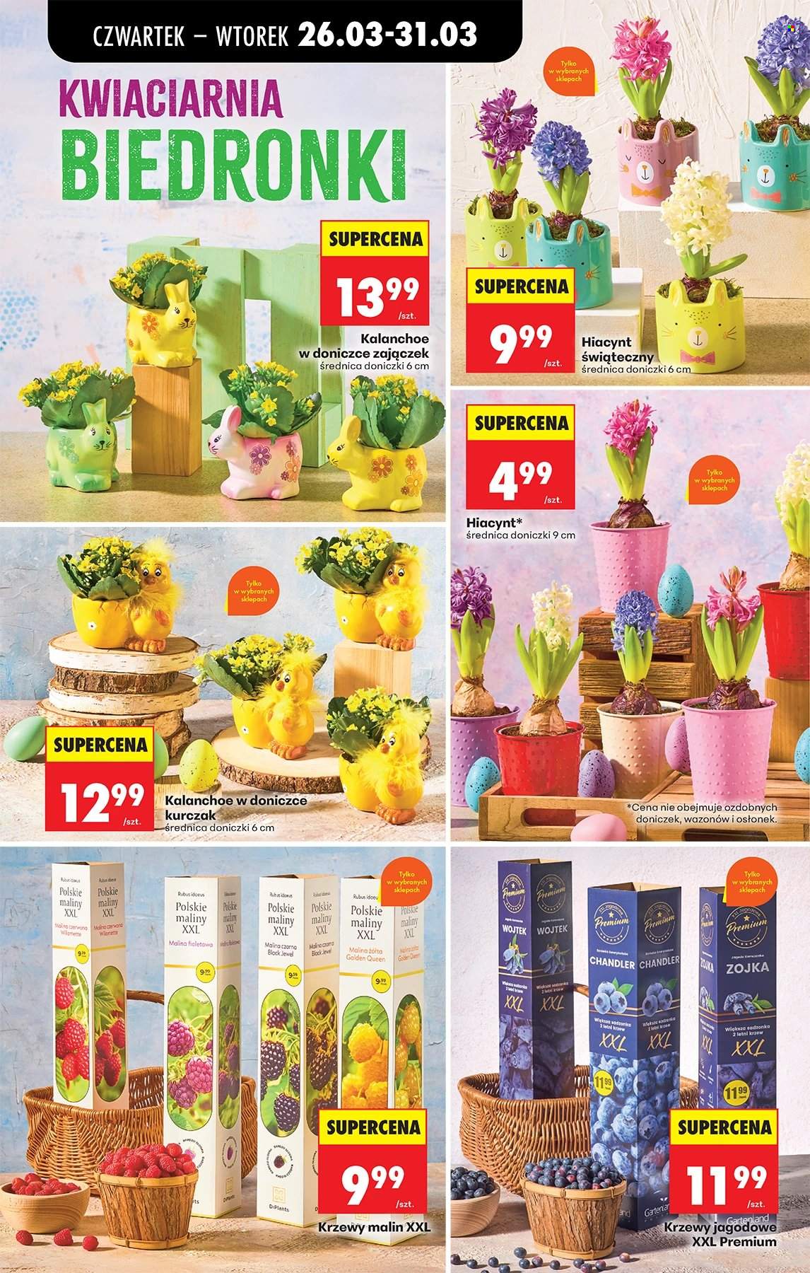 Gazetka Biedronka - 26.03.2026 - 31.03.2026. Strona 66