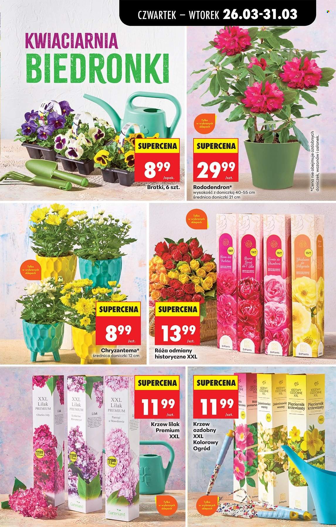 Gazetka Biedronka - 26.03.2026 - 31.03.2026. Strona 67