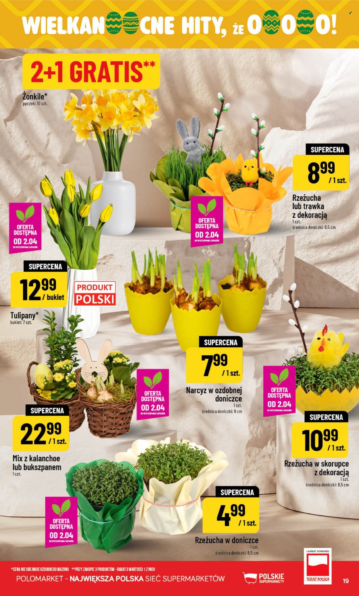 Gazetka Polomarket - 1.04.2026 - 4.04.2026. Strona 19
