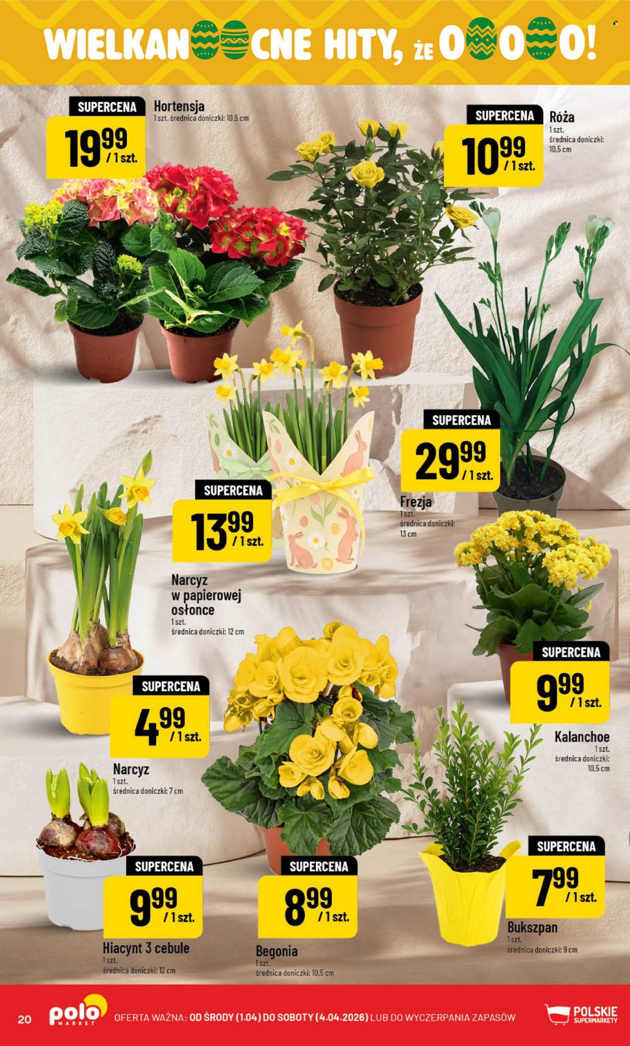 Gazetka Polomarket - 1.04.2026 - 4.04.2026. Strona 20