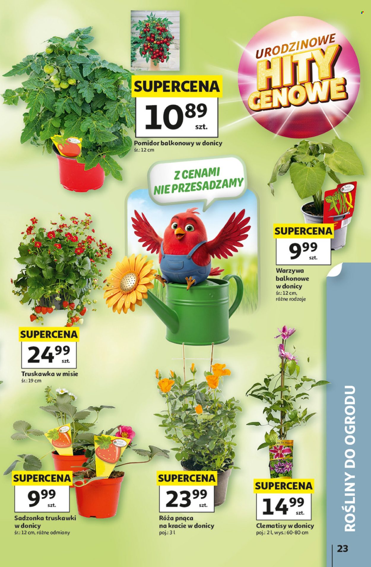 Gazetka Auchan - 7.05.2026 - 13.05.2026. Strona 23