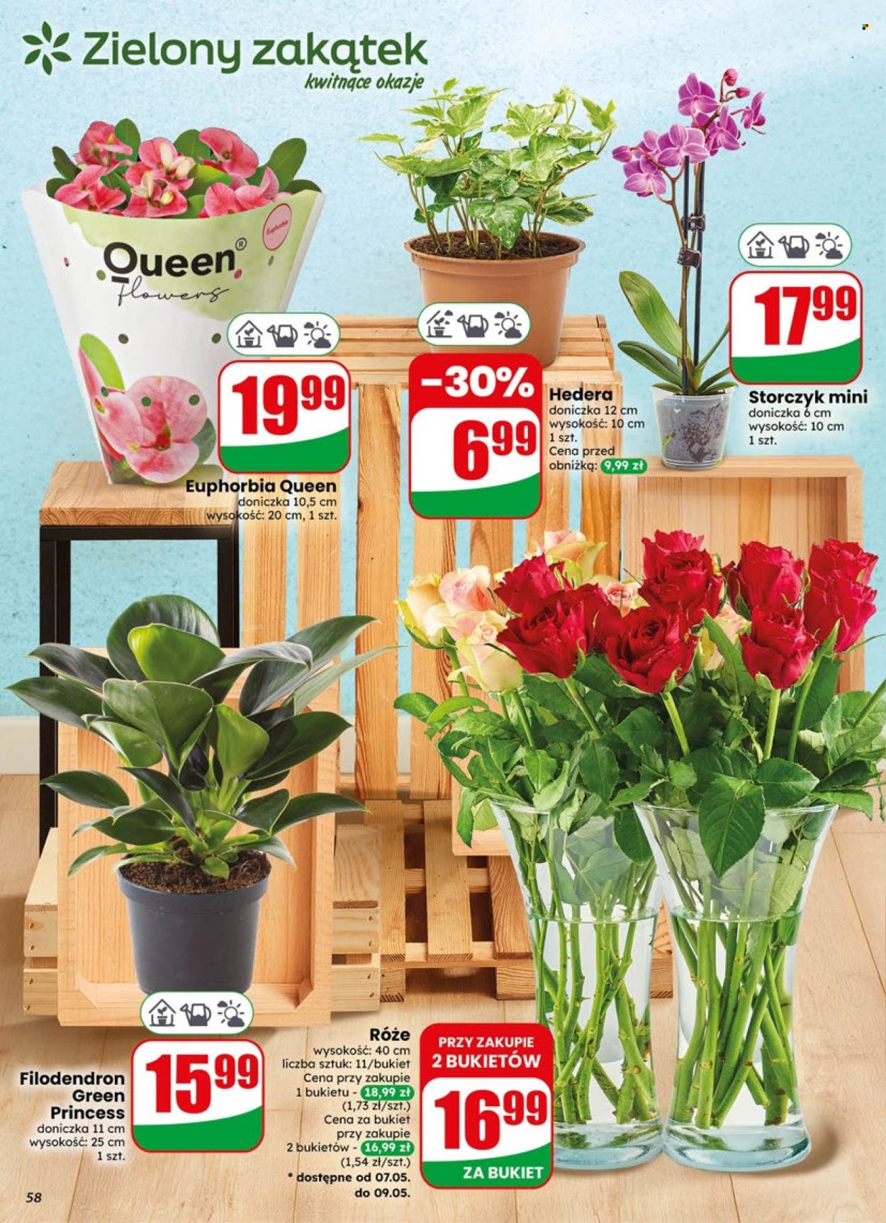 Gazetka Dino - 6.05.2026 - 12.05.2026. Strona 58