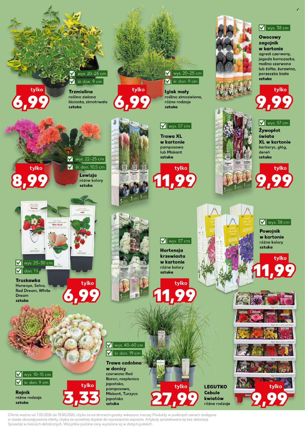Gazetka Kaufland - 7.05.2026 - 13.05.2026. Strona 11