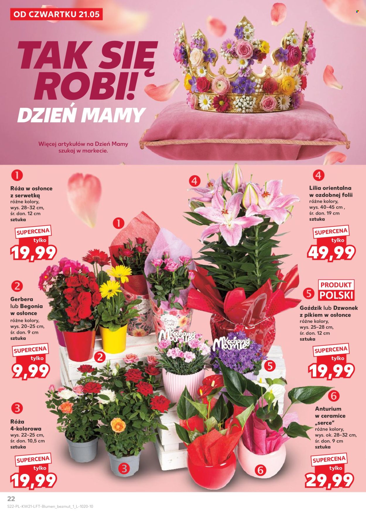 Gazetka Kaufland - 21.05.2026 - 27.05.2026. Strona 22