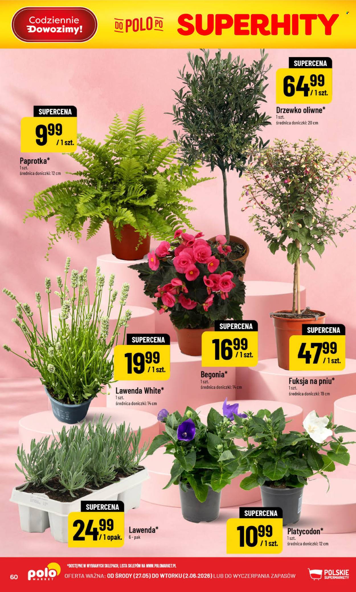 Gazetka Polomarket - 27.05.2026 - 2.06.2026. Strona 60