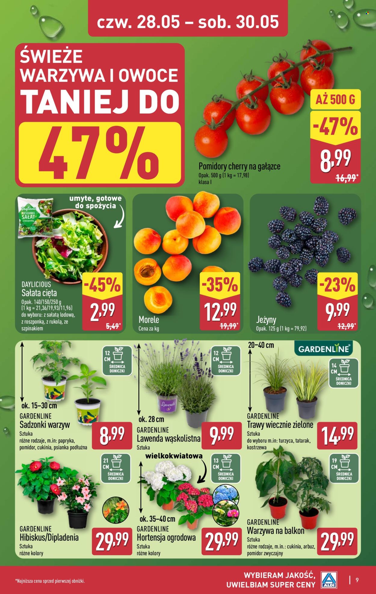 Gazetka ALDI - 28.05.2026 - 30.05.2026. Strona 9