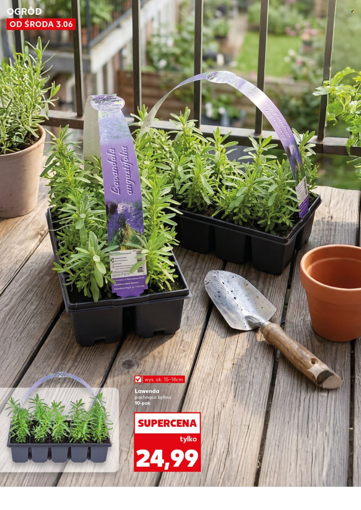 Gazetka Kaufland - 3.06.2026 - 10.06.2026. Strona 10
