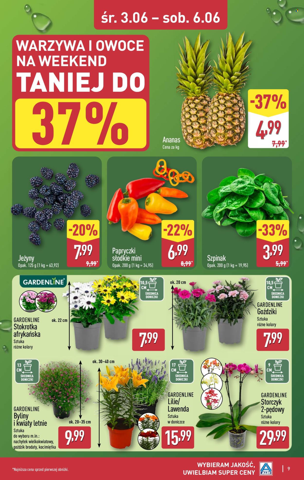 Gazetka ALDI - 4.06.2026 - 6.06.2026. Strona 9