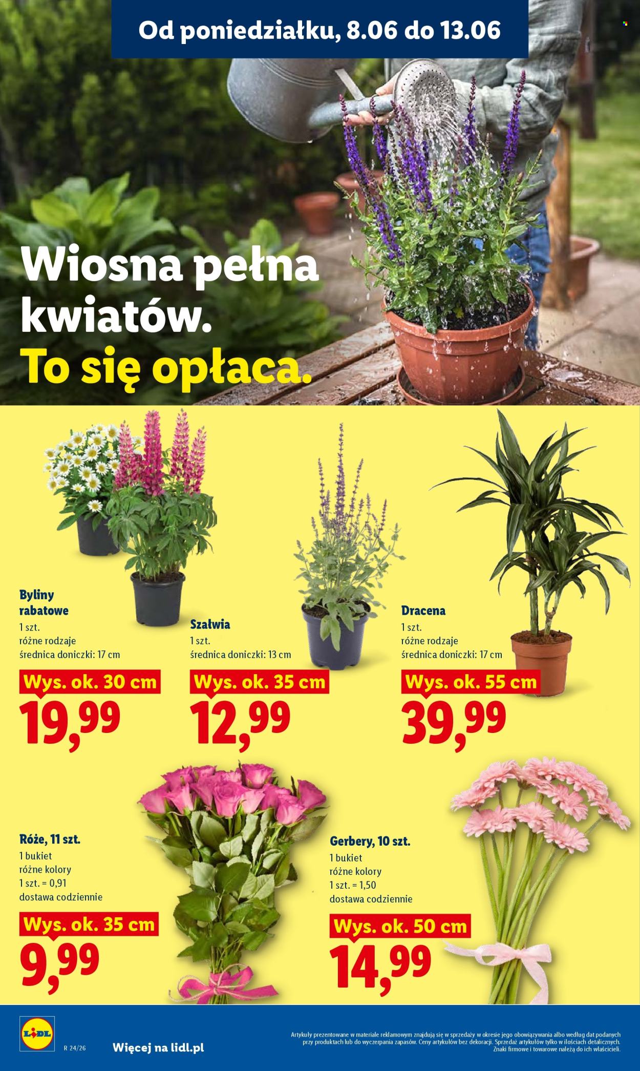 Leták Lidl - 8.6.2026 - 10.6.2026. Strana 82