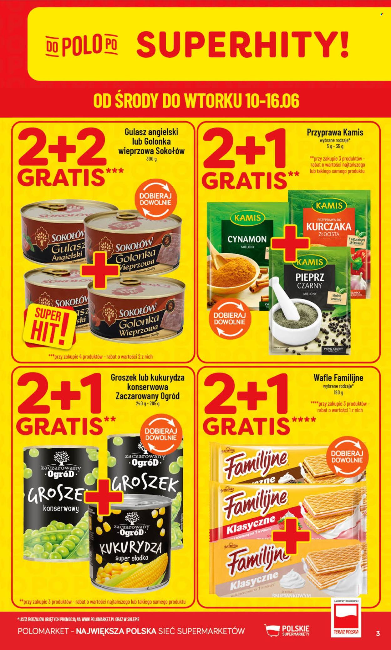 Gazetka Polomarket - 10.06.2026 - 16.06.2026. Strona 3