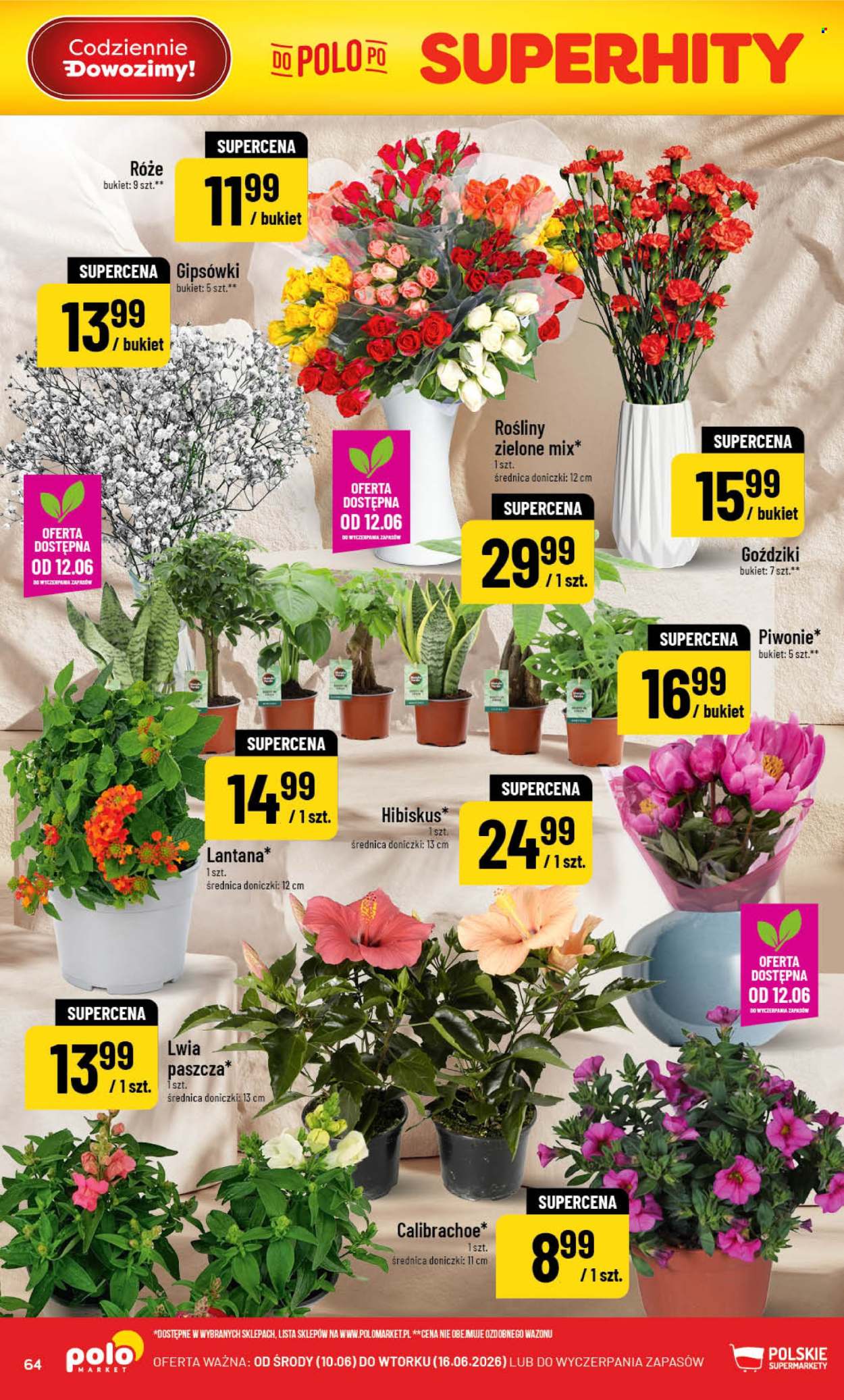 Gazetka Polomarket - 10.06.2026 - 16.06.2026. Strona 64