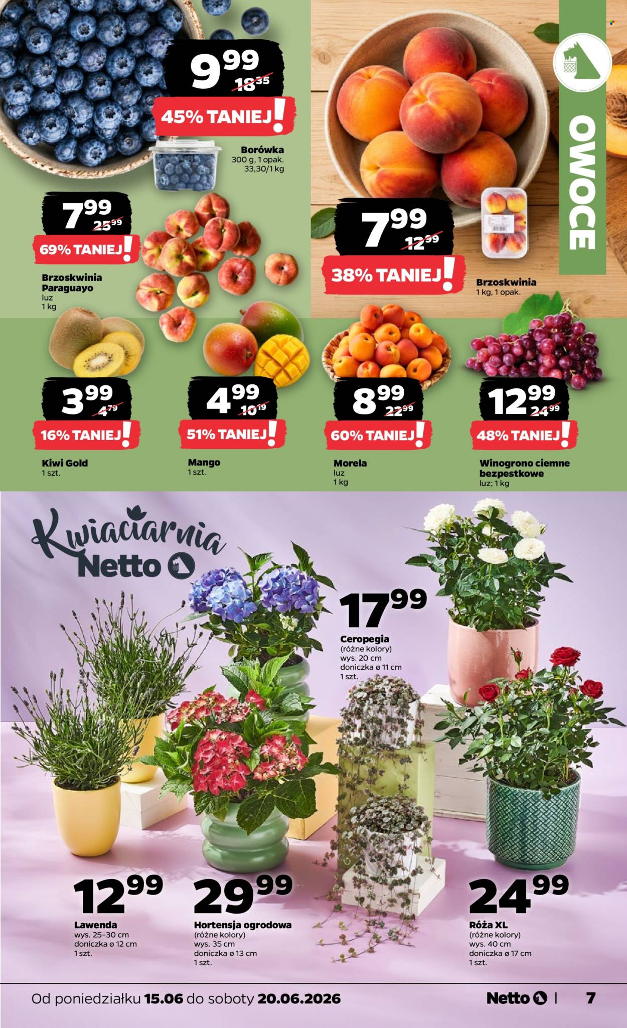 Gazetka Netto - 15.06.2026 - 20.06.2026. Strona 7