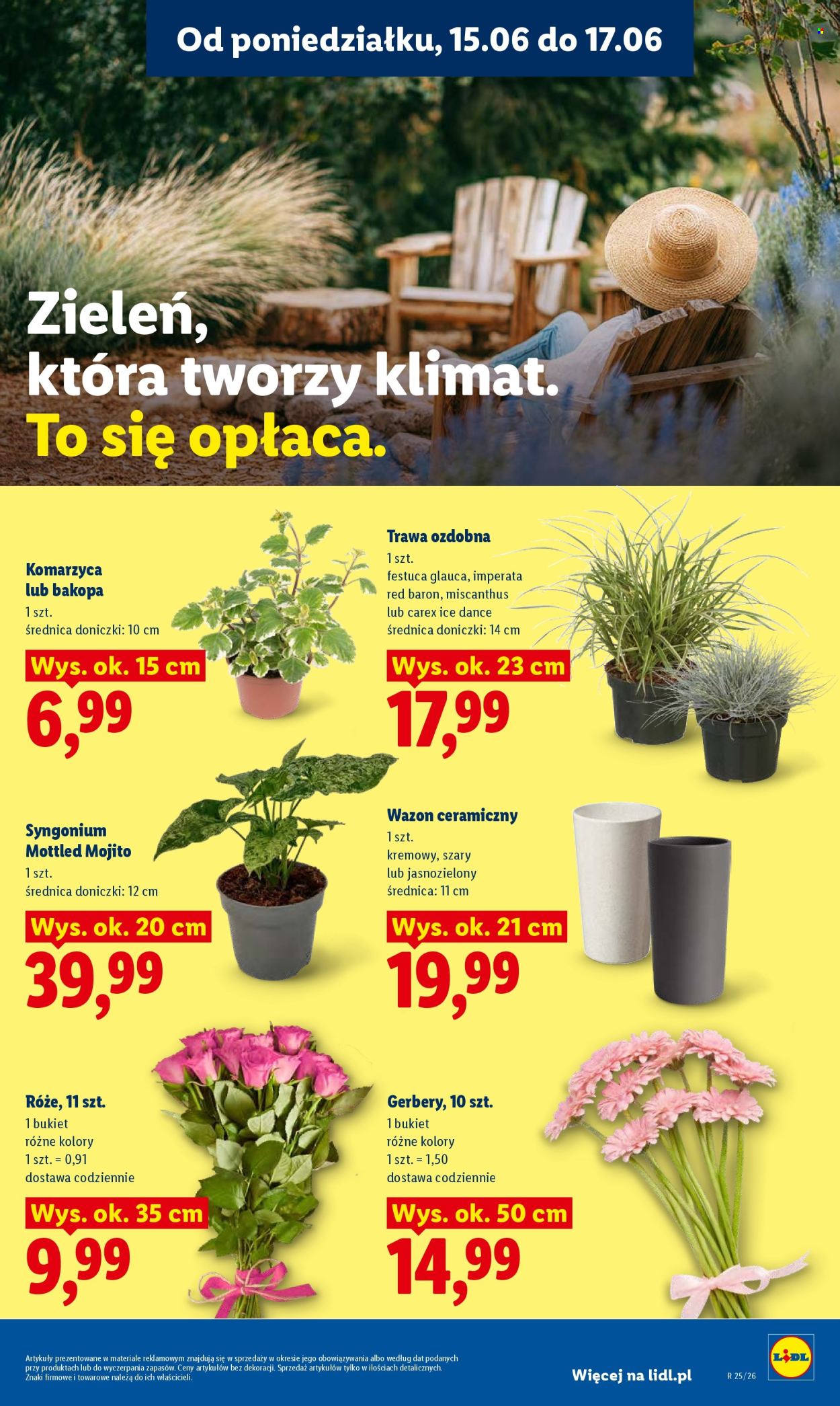 Leták Lidl - 15.6.2026 - 17.6.2026. Strana 97